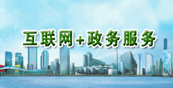 互聯(lián)網(wǎng)+政務(wù)服務(wù)