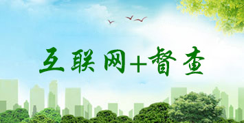 互聯(lián)網(wǎng)+督查