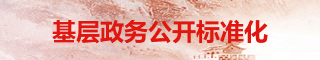 基層政務(wù)公開標(biāo)準(zhǔn)化